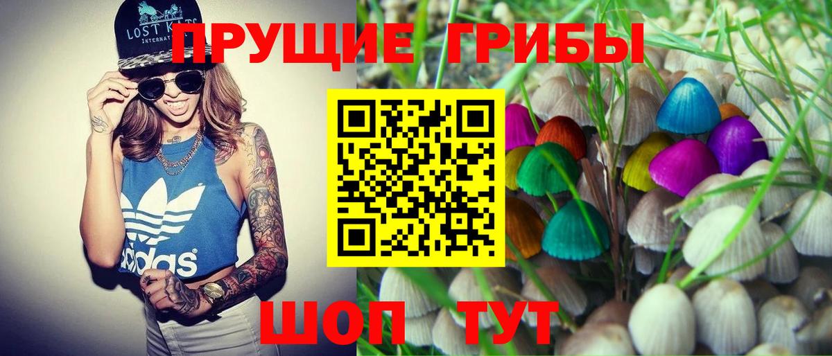 Псилоцибиновые грибы Cubensis Черкесск